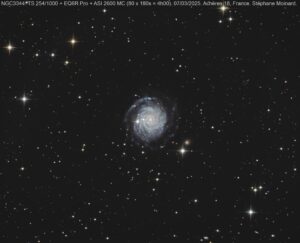 NGC3344
