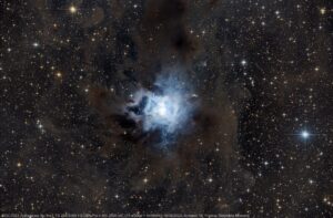 Nébuleuse de l'Iris (NGC 7023)